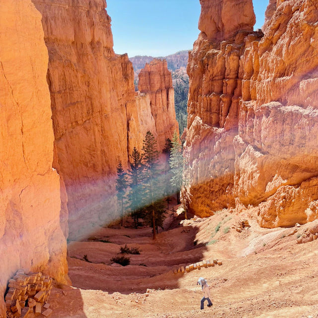 🌄 Bryce Canyon National Park: A Red Rock Dreamscape!