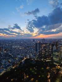 Tokyo From Above, For Free!