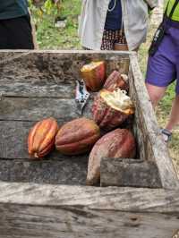 Philippines, Two Day Trip to Bohol Island