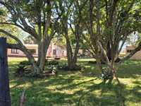 Zimbabwe - a perfect blend of family, culture, and nature.”