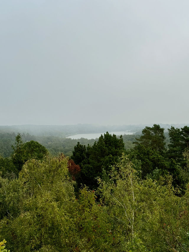 The Curonian Spit is a narrow sandy stretch of land between the Baltic Sea and the Curonian Lagoon