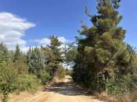 Half day hike to Kranos hill