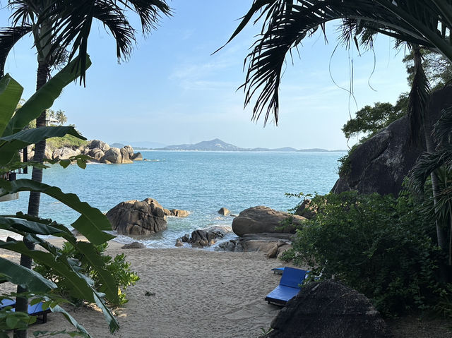 🏝️ Coral Cliff Beach Resort: Your Secret Cove on Koh Samui 🌊🌴