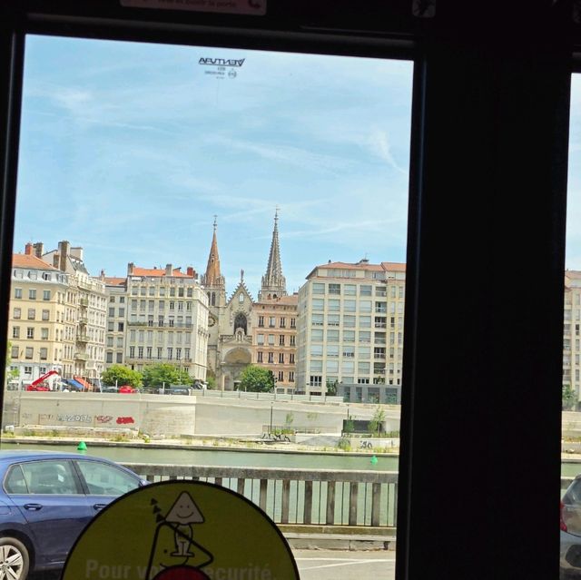 pretty Lyon