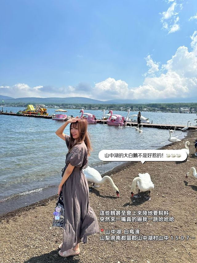 富士山六大熱門點·日川時計店·山中湖·羅森·沉浸式美景一日遊