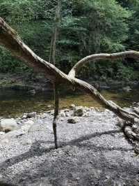 Waterfall Country In The Beautiful Brecon Beacons, A Natural Wonder Of Wales 