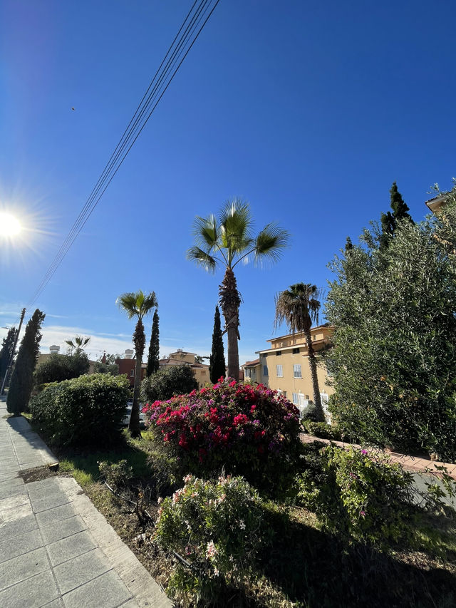 🌅 Paphos – Timeless Beauty by the Sea 🌊✨