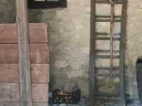 Tito's House in Kumrovec: A Window into Yugoslavia’s Past