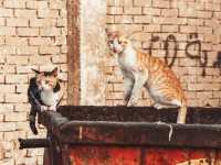 Hurghada – Egypt’s Red Sea Paradise