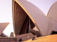 🍁 Sydney Opera House – Coastal Autumn Breeze 