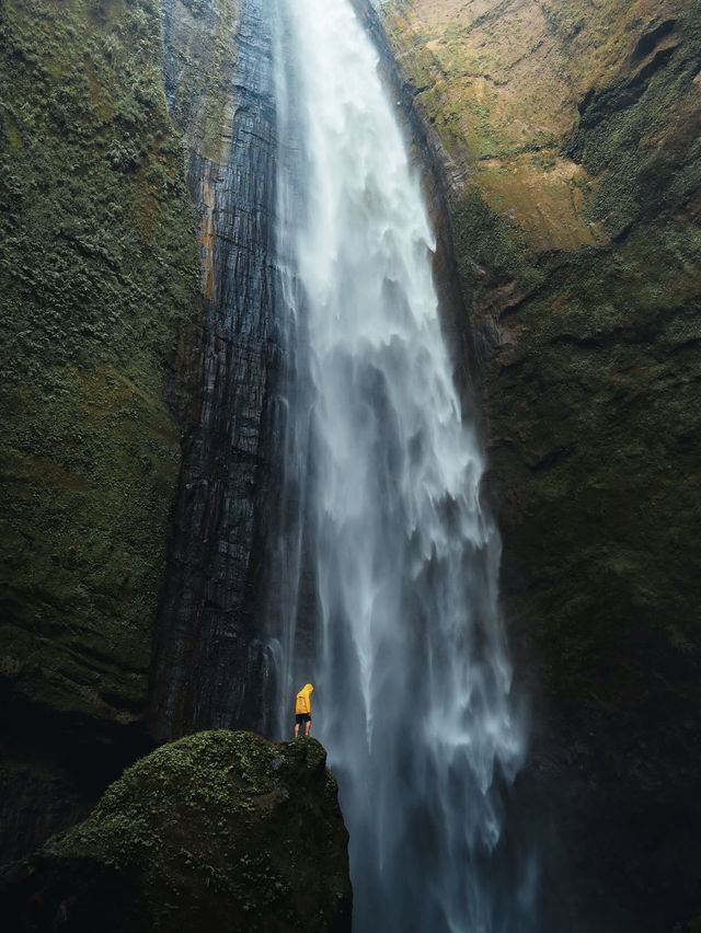 🌋 Java's Epic Heartbeat: Temples, Volcanoes, and Timeless Culture 🌋 Java's Epic Heartbeat: Temples, Volcanoes, and Timeless Culture