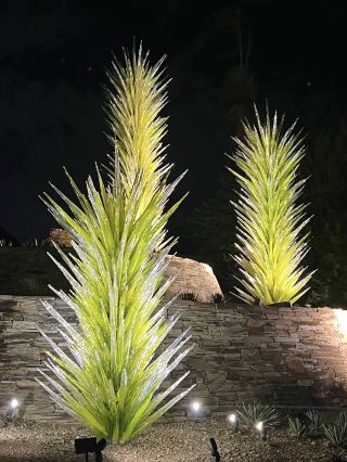 沙漠植物園的魔幻聖誕漫步 