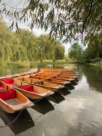 DISCOVERING CAMBRIDGE : From Historic Spires to Spicy Bites.