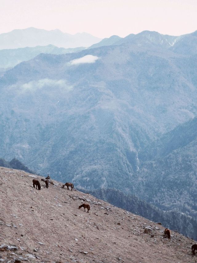 This Mountain-Peak is 6250m High!