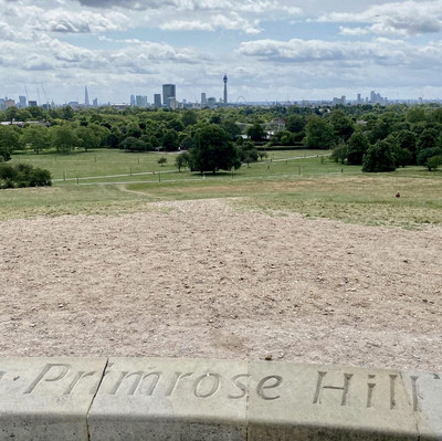 Primrose Hill London Trip