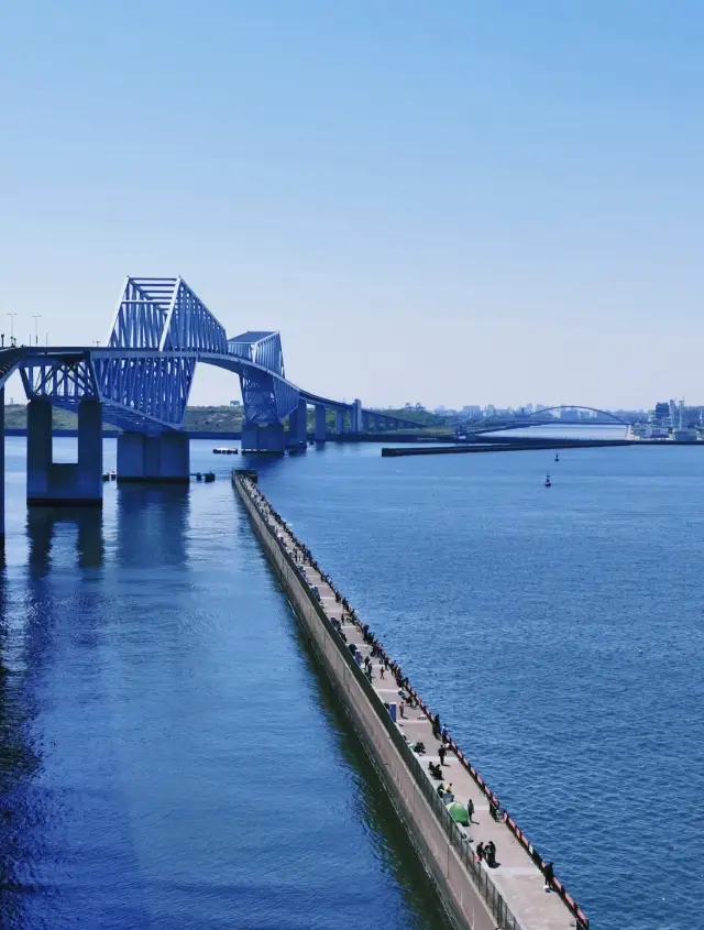 Hokkaido nature exploration tour 🏝️ Arrive at Rakuza Seaside Park and enjoy the ocean scenery to the fullest.