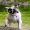 _Jessie_26