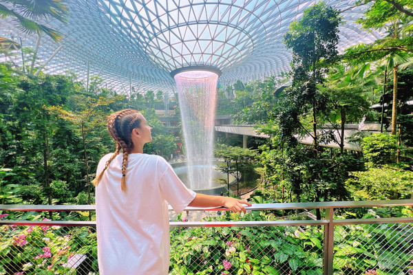 Singapore: New Jewel Changi Airport is a treat for jungle lovers [PHOTOS]