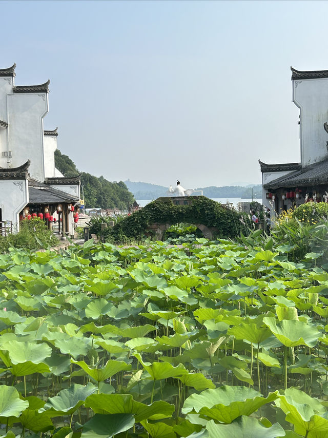 新余仙女湖