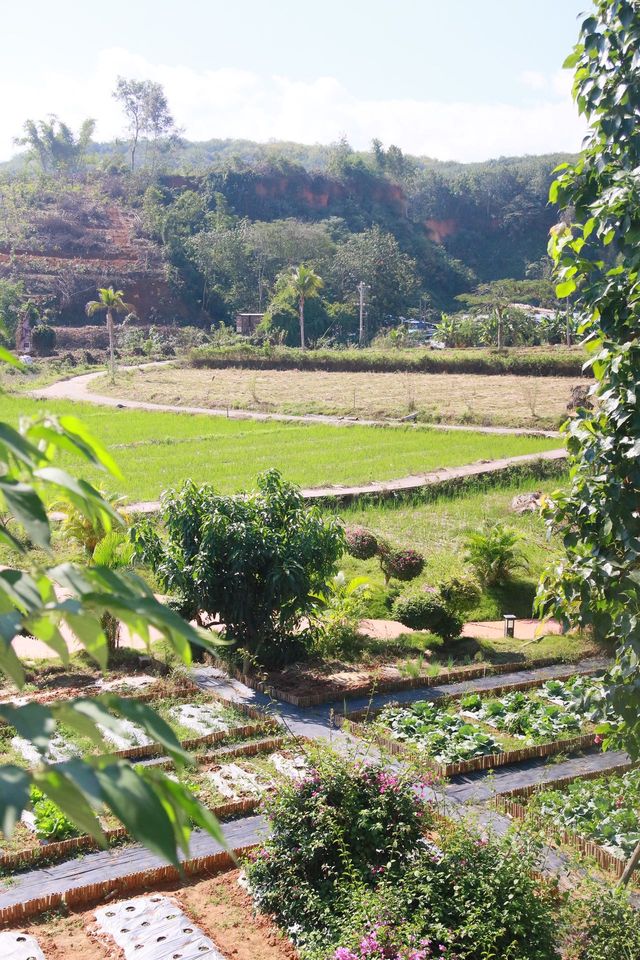 誰還不知道我住了獨棟別墅