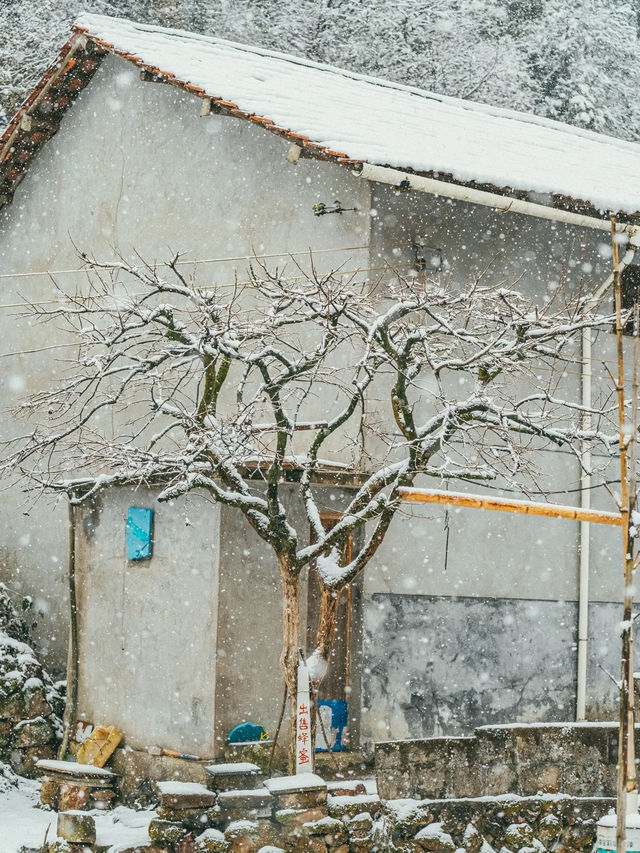 我喜歡下雪天，更喜歡帶我看雪的你