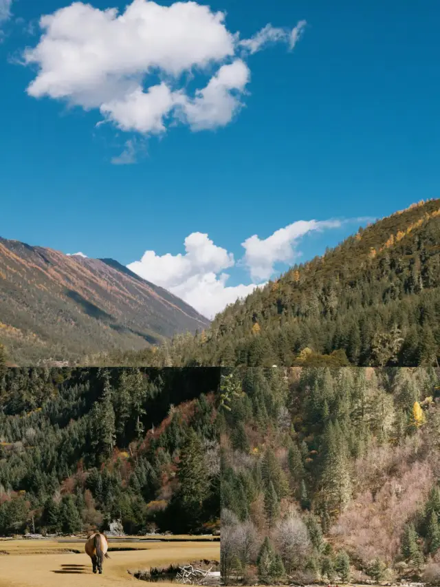 Exploring Moon Lake: An underrated secret place in Western Sichuan, a perfect choice for camping and autumn viewing