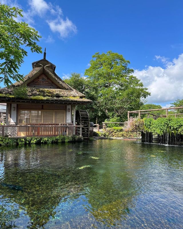 日本遊玩推薦丨忍野八海