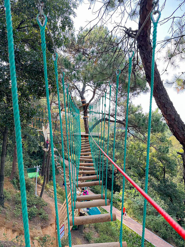 不用去清邁了，西翹山就可以飛越叢林