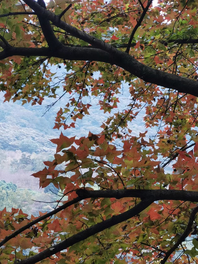 石門國家森林公園