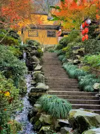 杭州寺廟天花板｜紅楓季節同樣驚艷