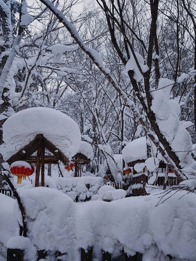 牡丹江|大禿頂子山｜闖進童話世界裡的林海雪原