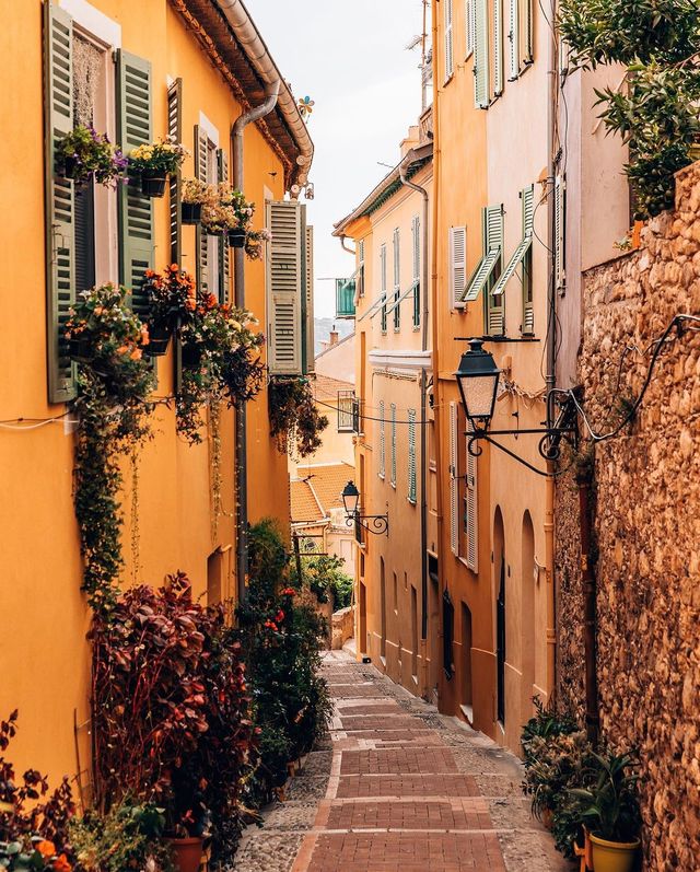 🌅🇫🇷 Golden Hues of the Riviera: Exploring 50 Shades of Orange and Yellow!🍊🍋