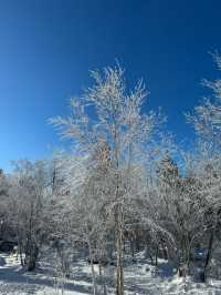 吉林省吉林市北大湖滑雪場 擠爆了