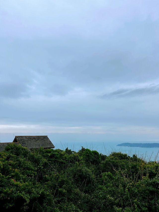 探秘熱帶雨林天堂：三亞亞龍灣熱帶天堂森林公園旅遊攻略