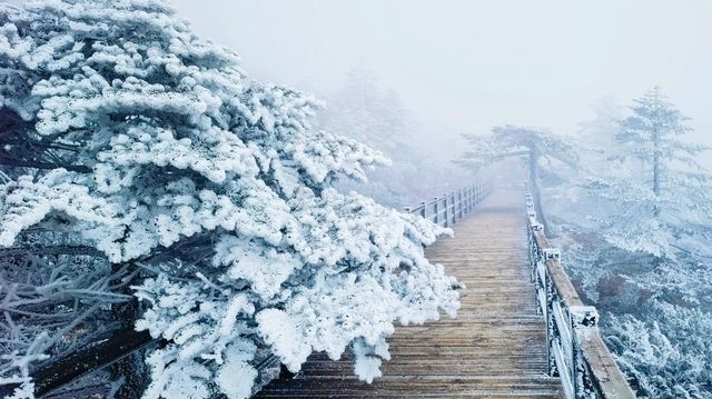 2024年1月16日，轿子雪山又又又下雪了！