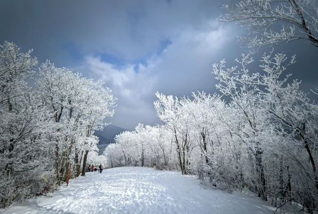 龍王山下雪了！