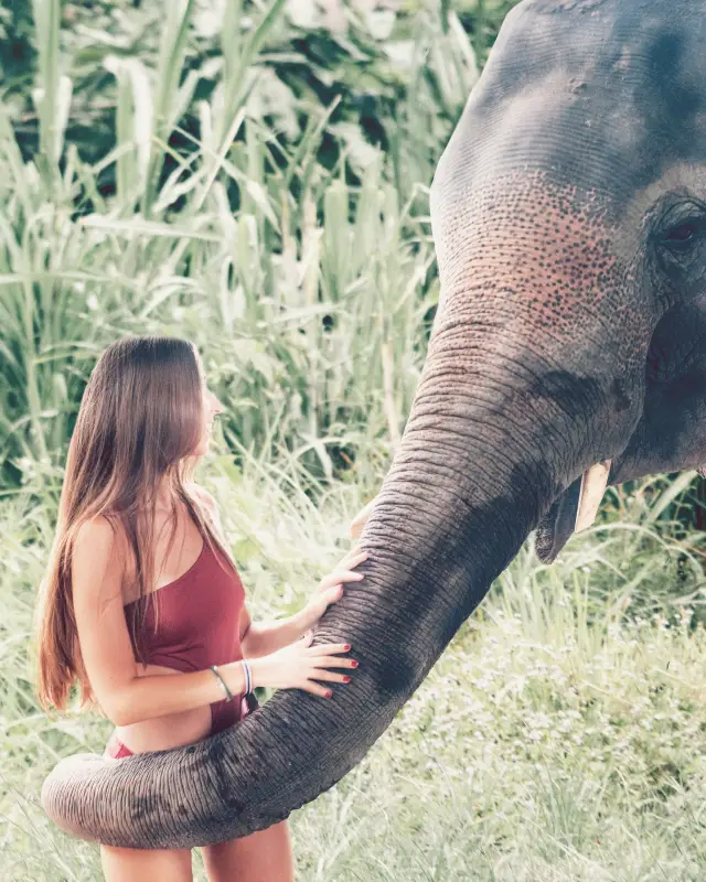 태국에서 아이와 함께 가기 좋은 곳 | 강력 추천 카오 케오 오픈 동물원!