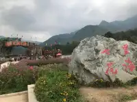 一起相約七里花海