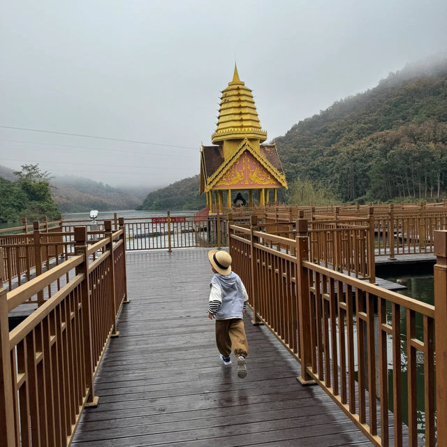 休閒遊，勐臘縣望天樹熱帶雨林國家公園