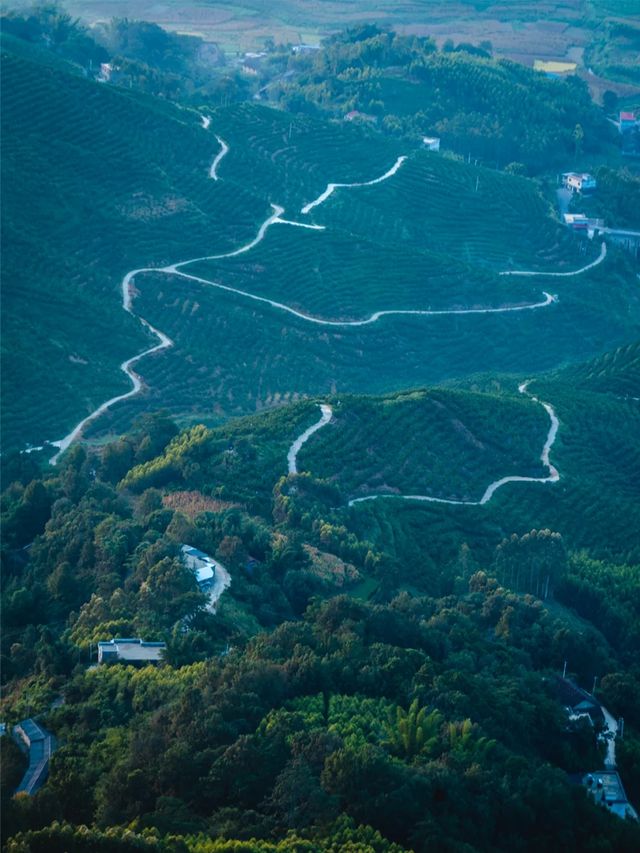 來我家鄉玩一天|黃媽沒騙我，向雲端絕美
