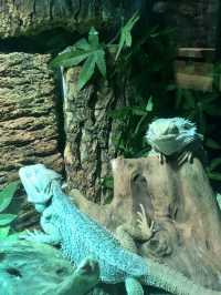 週末遛孩子去哪兒？南京海昌海洋世界探索館