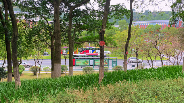 週末戶外新發現黃埔科學城環山公園