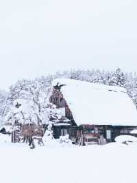 冬遊白川鄉景點