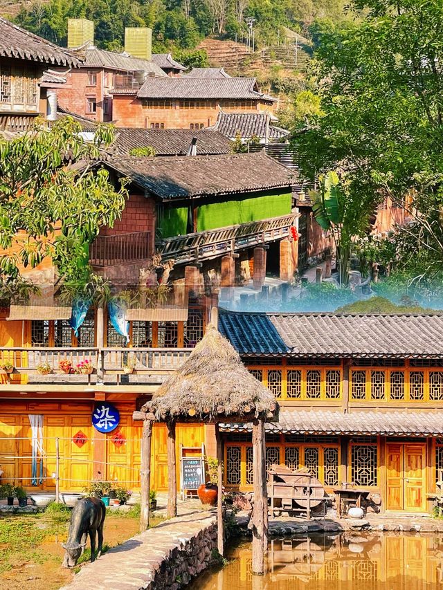 普洱·茶馬古道｜探訪“茶馬歲月”的前世今生