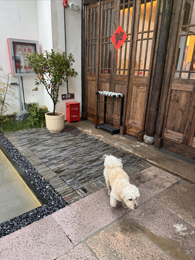 新年遛孩子｜不用人擠人，這家書店太香了！