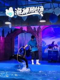 春節去哪兒？一站式體驗海洋世界的快樂