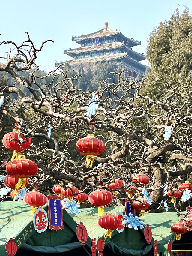 紅紅火火 春色啟龍年 景山公園 北京