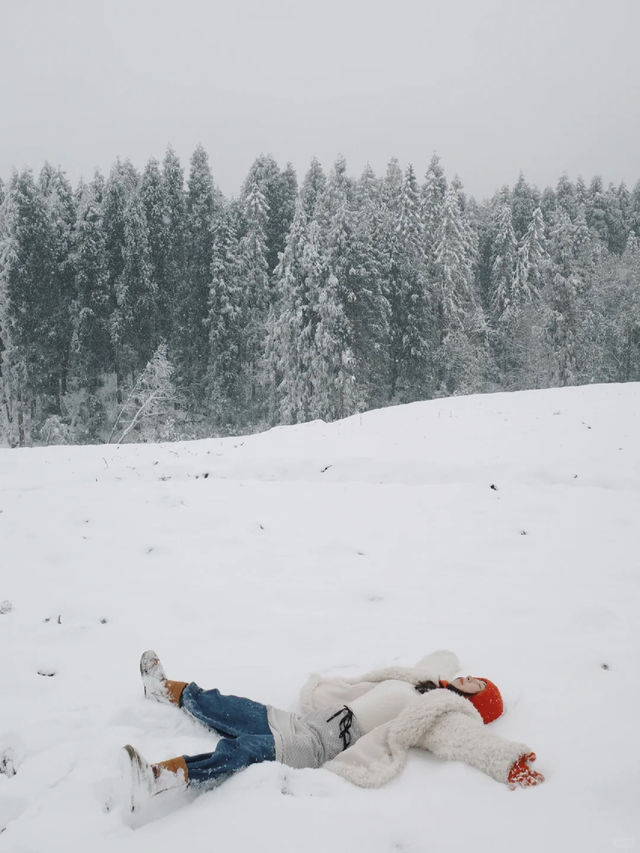 這裡不是東北，是雅安龍蒼溝｜成都2h雪國森林