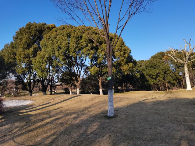 閔行體育公園