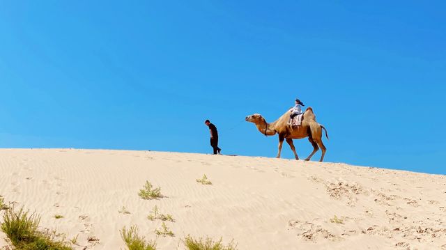 比起櫻花，奈曼沙漠更出片，南方小土豆新寵